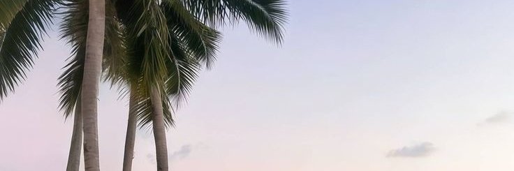 Asma 🇲🇦's banner