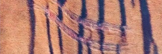 Athina 𓂀's banner