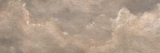 cece 🧸's banner