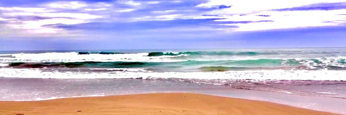 GingerMerman's banner