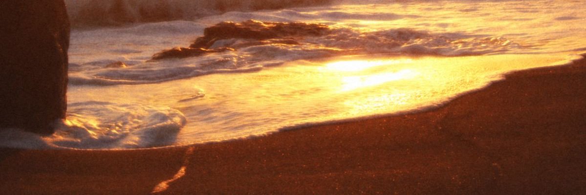 lily ✿˖°'s banner