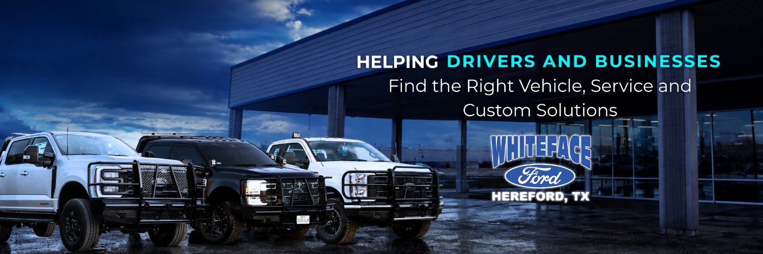 Whiteface Ford's banner