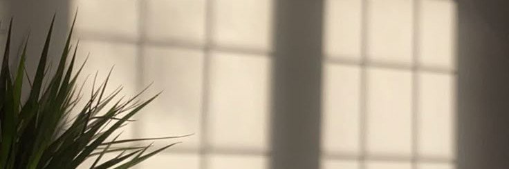Ishika ❄️'s banner