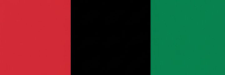 𝐏𝐚𝐧𝐀𝐟𝐫𝐢𝐜𝐚𝐧 𝐈𝐧𝐭𝐞𝐥's banner