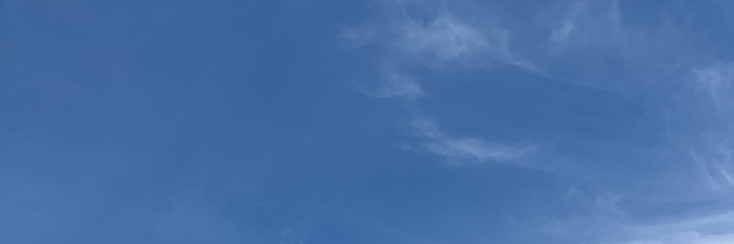 bean's banner