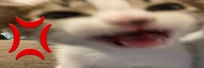 merci 𝜗ৎ's banner