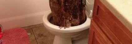 MONSTER LOGS | MAMMOTH BOWELS 💩 #scat's banner