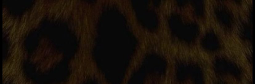 G1itt3rH0withaBBCwithher's banner
