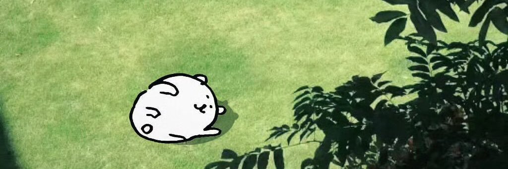 林林's banner