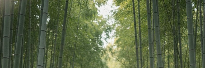 OfficialyQ's banner