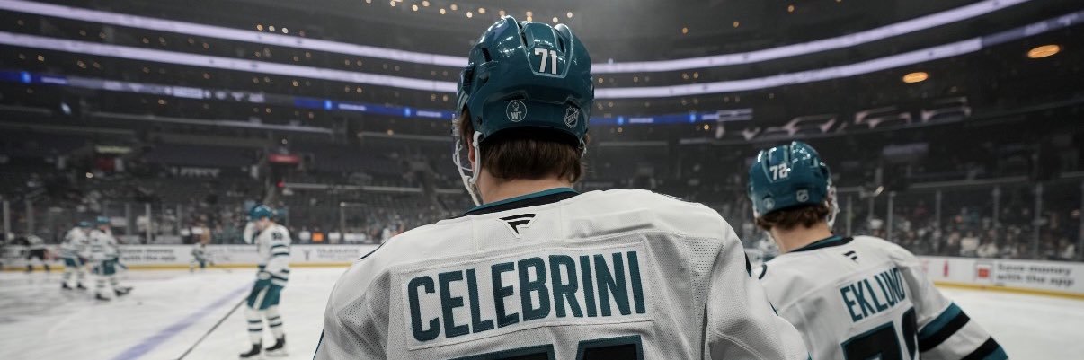 b 🏒🦈's banner