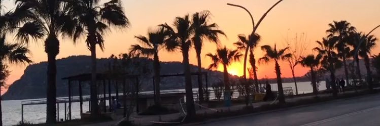 gül 🌹's banner