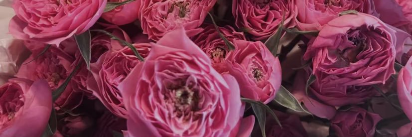Bông 🌸's banner