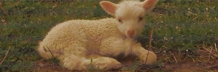 lamb's banner
