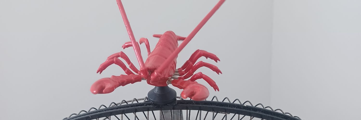 Jackieyen 🦞 Back to work, more IA!'s banner