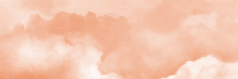 bloom 𖧧's banner