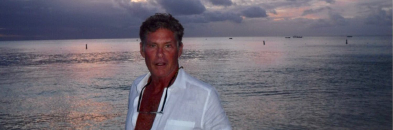 David Hasselhoff's banner