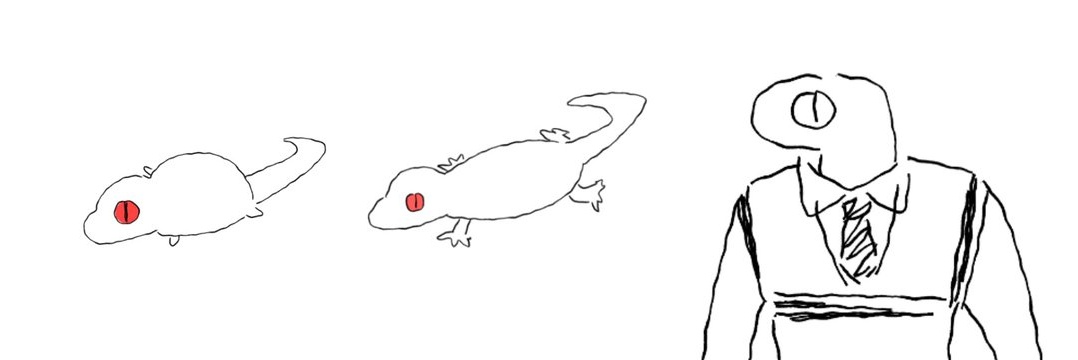 교롱이's banner
