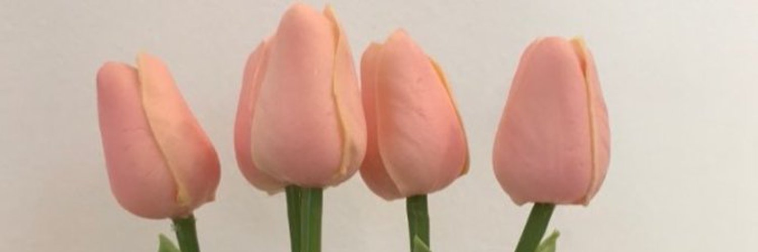 高中生晓晓's banner