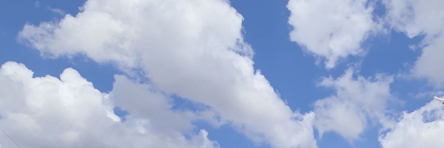 こめたろう's banner