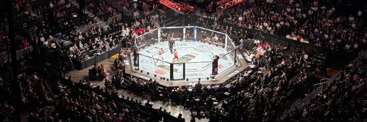 MMA POETRY UFC's banner