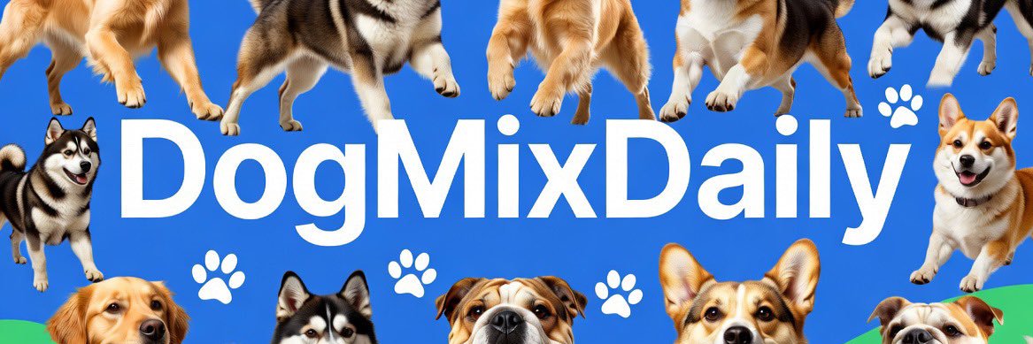 dog🐶's banner