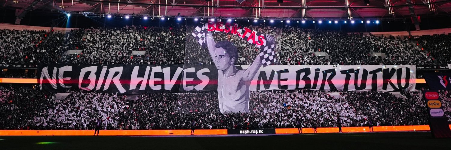 Ceren Aksoy's banner