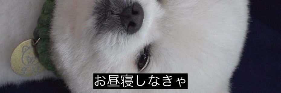 人間β版's banner