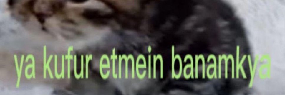 malamınoglu ε🇹🇷's banner
