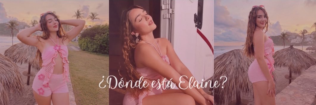 ¿Dónde está Elaine?'s banner