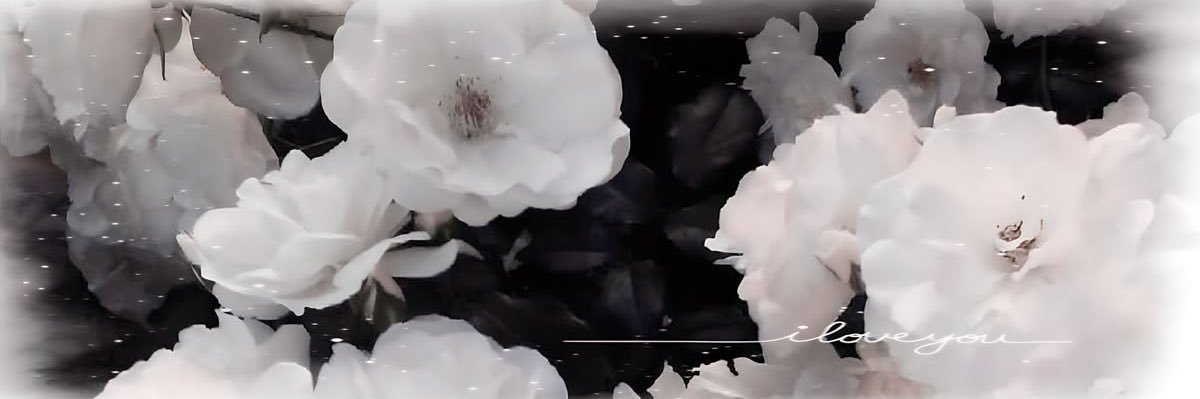 tia's banner