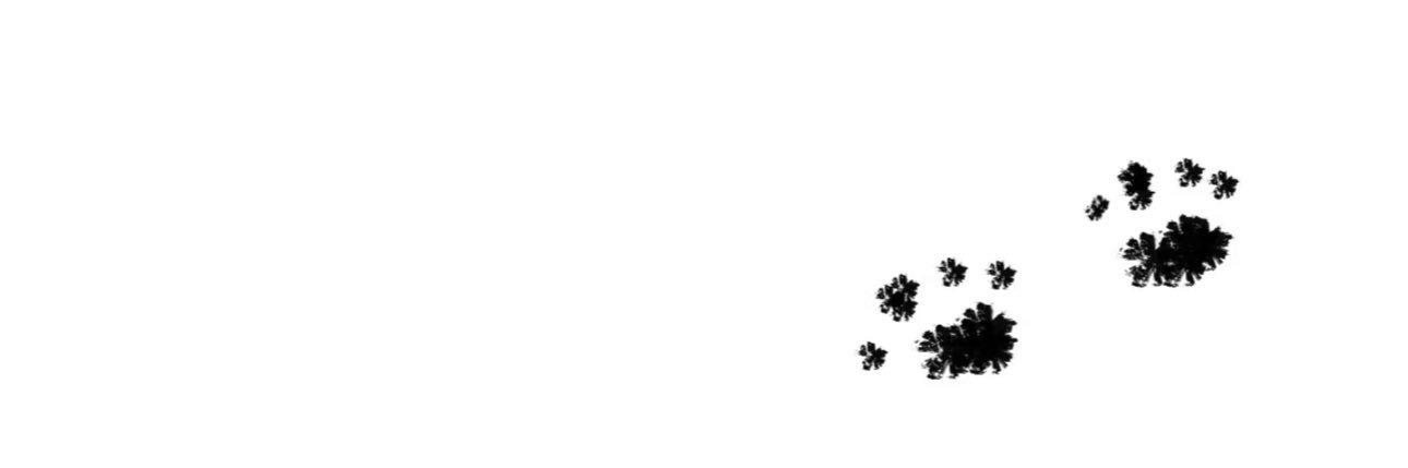 偷吃一口小汪汪's banner