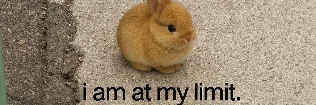 cybrrxgf's banner