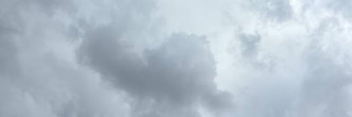leonora bleu's banner