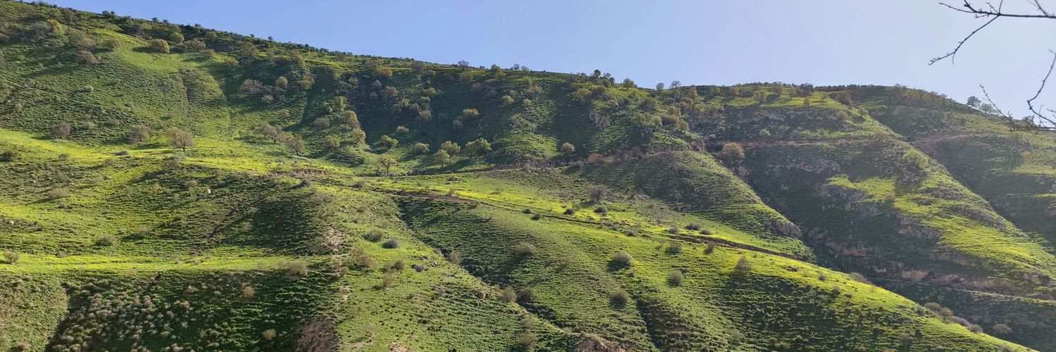 Photographer.Nsairat.JO 🇯🇴🇯🇴🇯🇴's banner