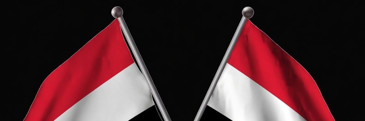 ali ben ali's banner