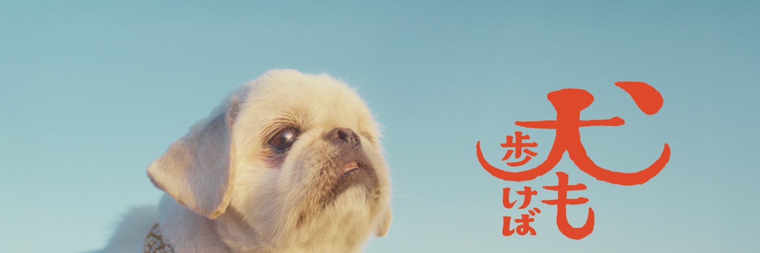 「犬も歩けば」　犬と人の人情ドラマ's banner
