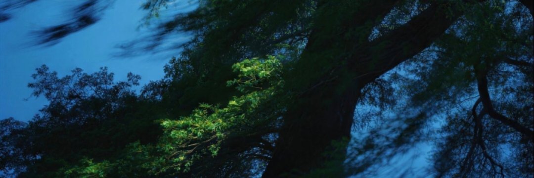 洛萝贝's banner