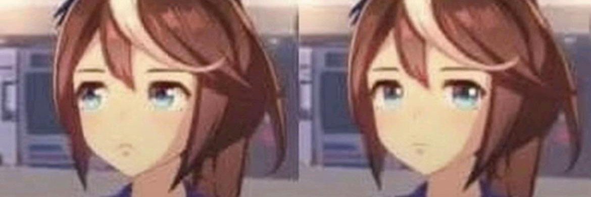 NomuMiya | Animator's banner