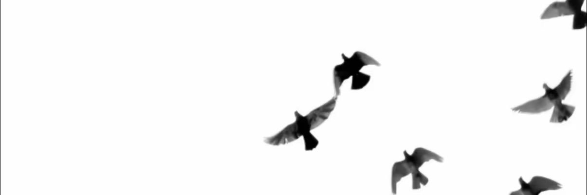 锈键's banner
