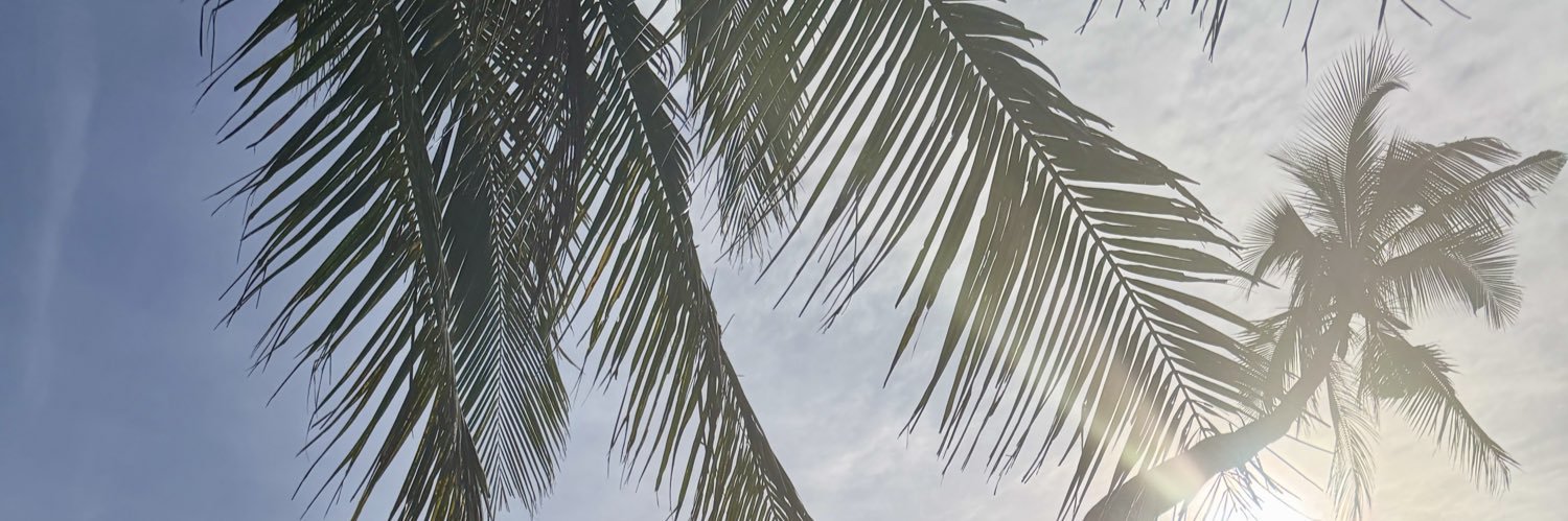 Zara's banner
