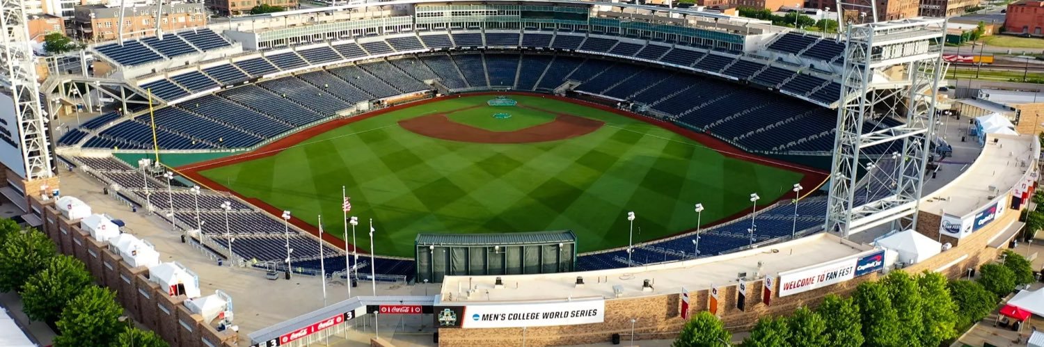 College Ballparks's banner