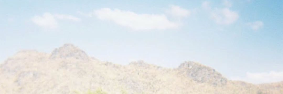 ruru's banner