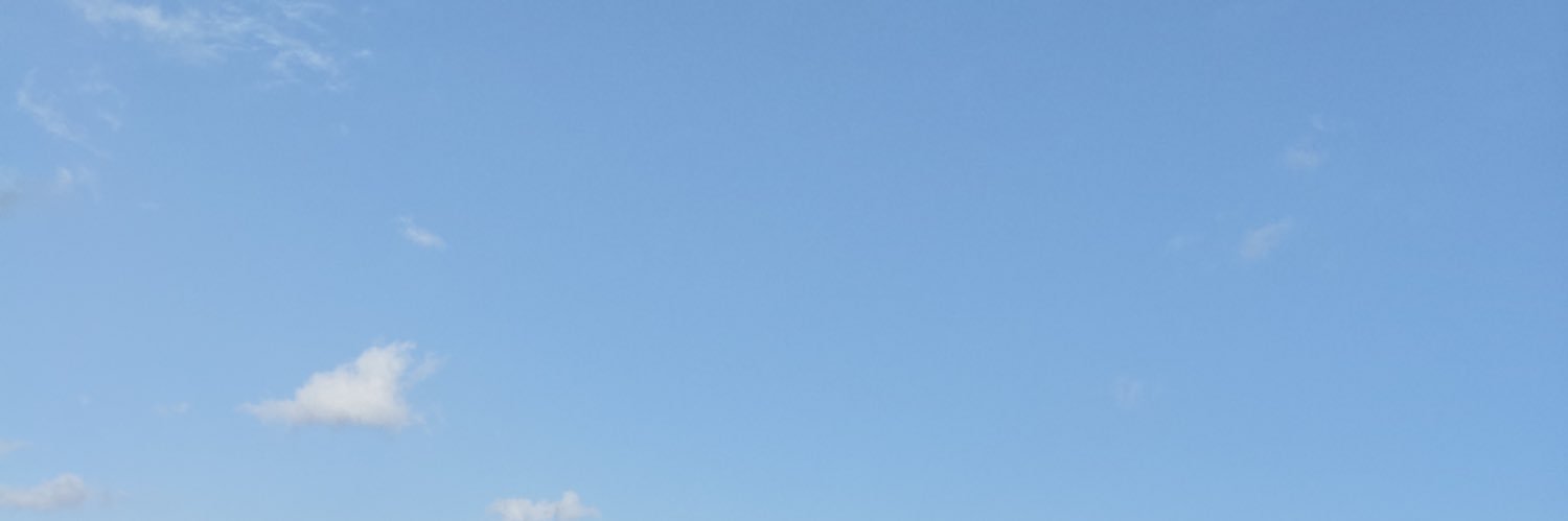 nic's banner