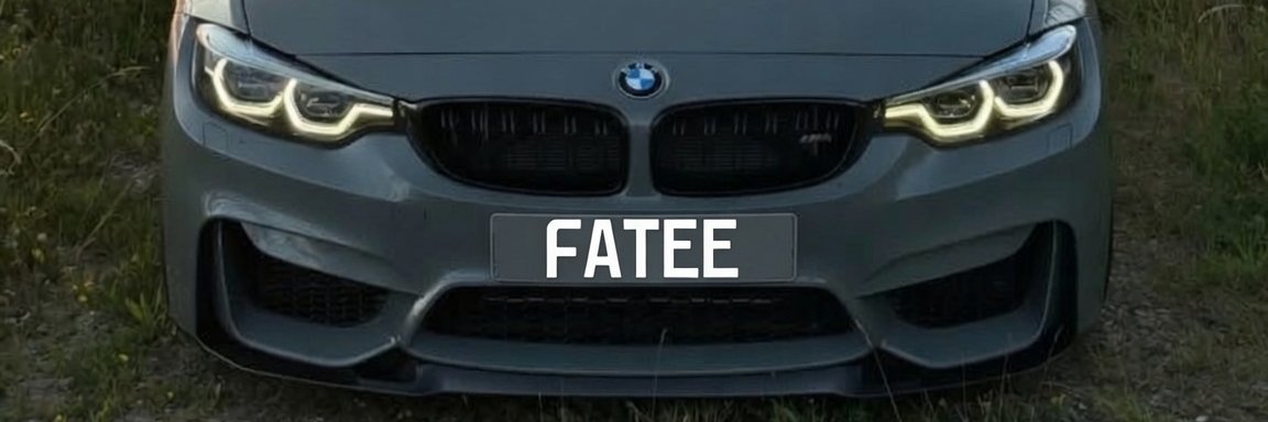 FATEE 's banner