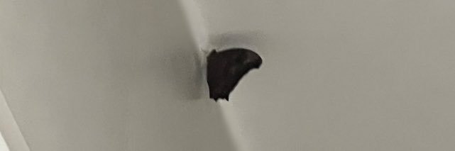 wiak🕷️'s banner