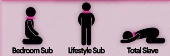 Hot dominatrix😵‍💫🙇‍♀️🙇‍♂️'s banner