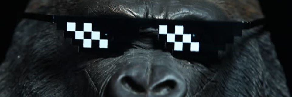 ゴン太🦍's banner