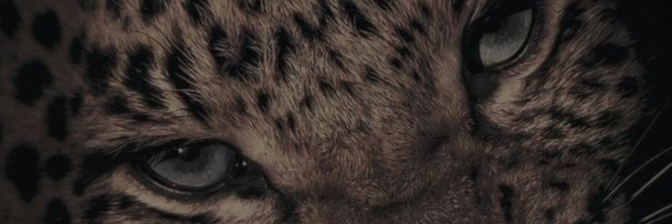 ˖⚘𓂃's banner