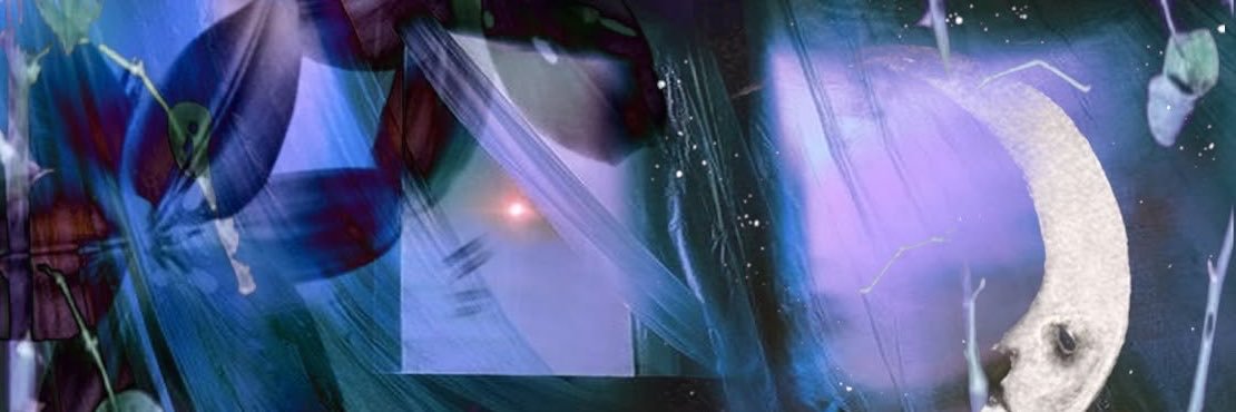bambi ⋆˚꩜｡'s banner